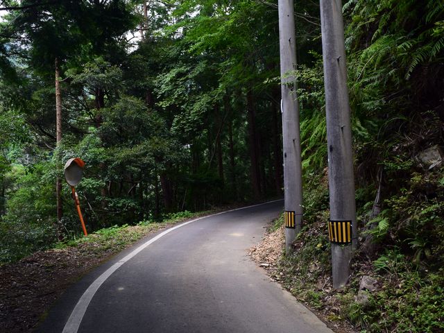 yamainu010.jpg