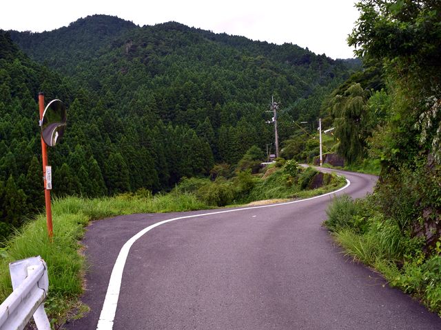 yamainu015.jpg