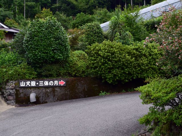 yamainu017.jpg