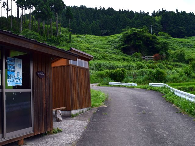 yamainu025.jpg
