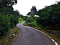 yamainu027_thumb.png