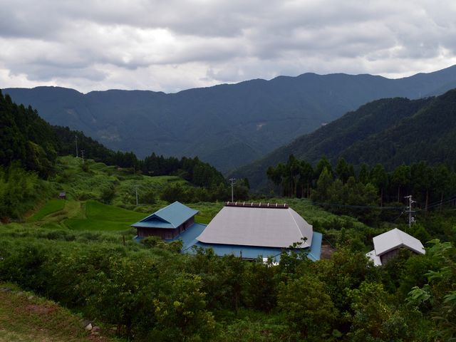 yamainu029.jpg