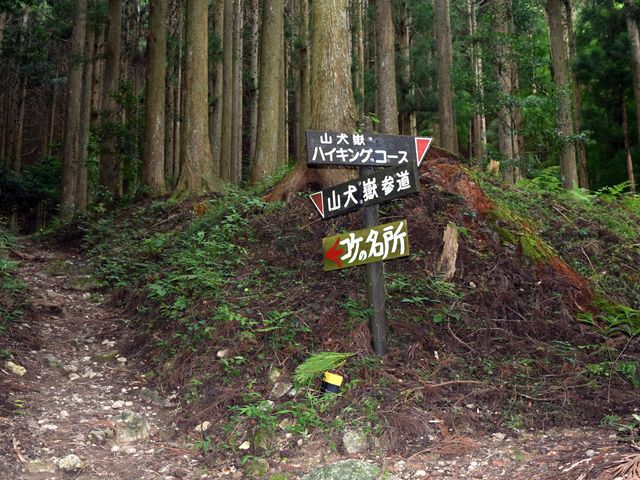 yamainu041.jpg