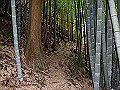 yamainu043_thumb.png