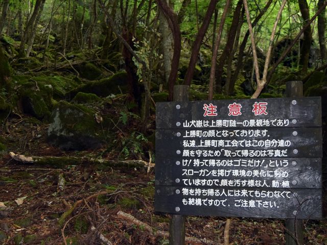 yamainu060.jpg