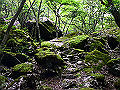 yamainu066_thumb.png