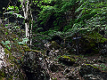 yamainu069_thumb.png