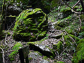 yamainu074_thumb.png