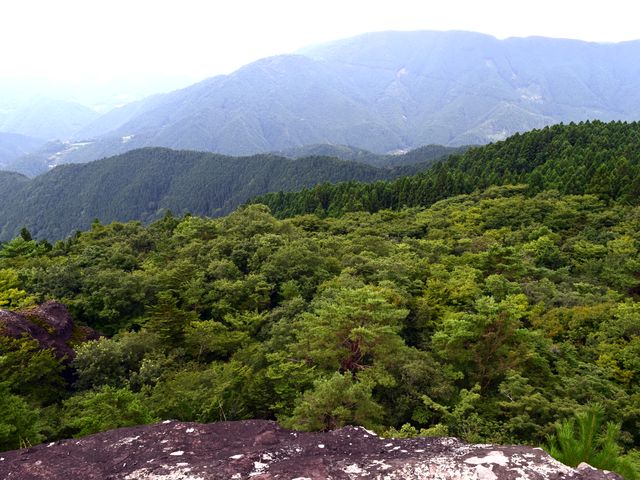 yamainu081.jpg
