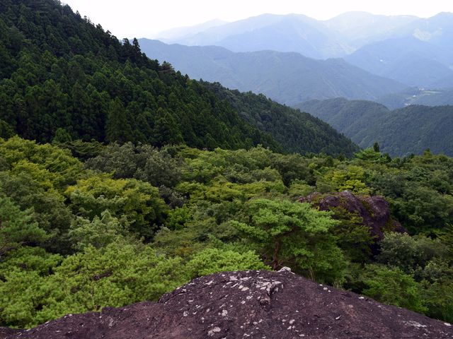 yamainu082.jpg