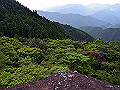 yamainu082_thumb.png
