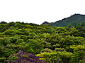 yamainu084_thumb.png