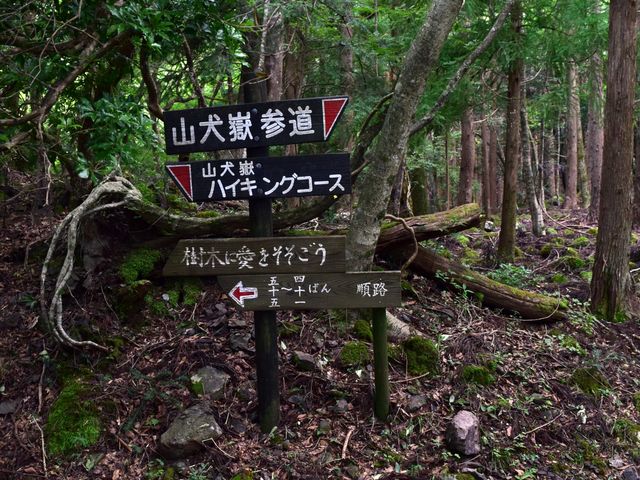 yamainu098.jpg