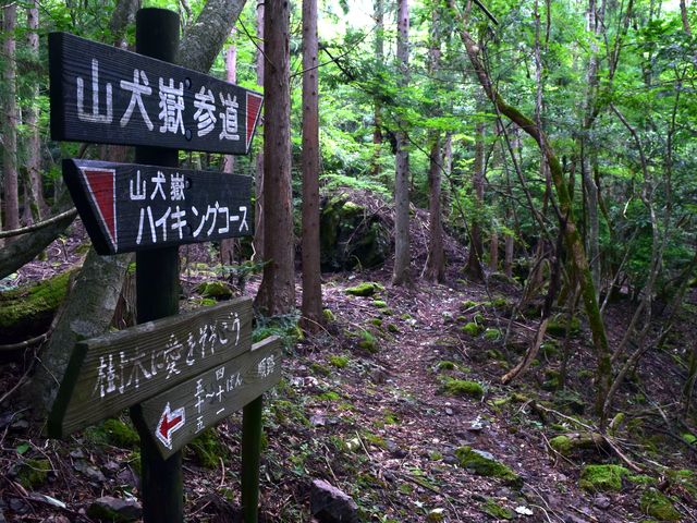 yamainu099.jpg