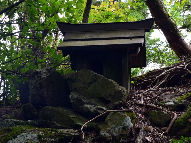yamainu138.jpg