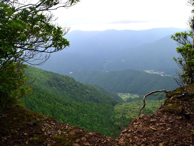 yamainu140.jpg