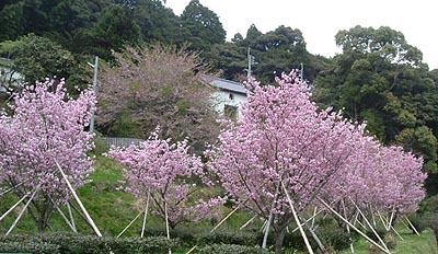 yi08.jpg