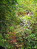 ebosi002_thumb.jpg
