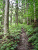 ebosi003_thumb.jpg