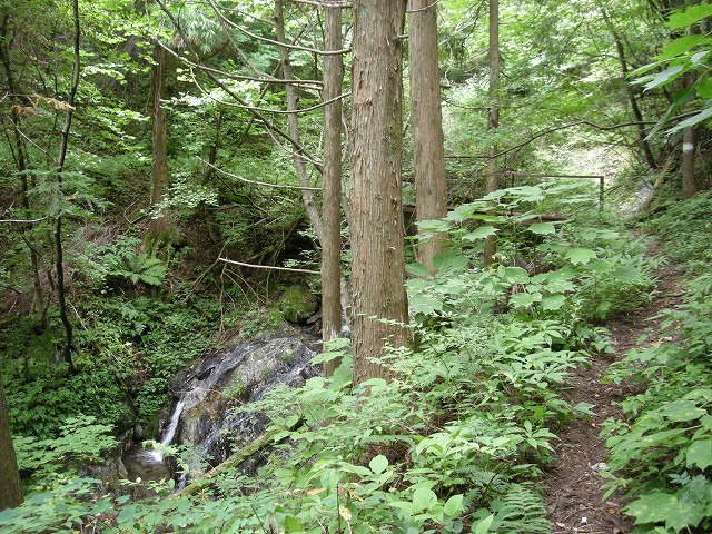 ebosi004.jpg