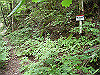 ebosi005_thumb.jpg