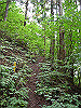 ebosi006_thumb.jpg