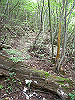 ebosi007_thumb.jpg