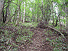 ebosi012_thumb.jpg