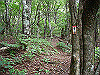 ebosi013_thumb.jpg