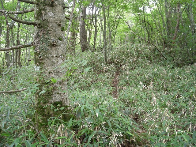 ebosi019.jpg