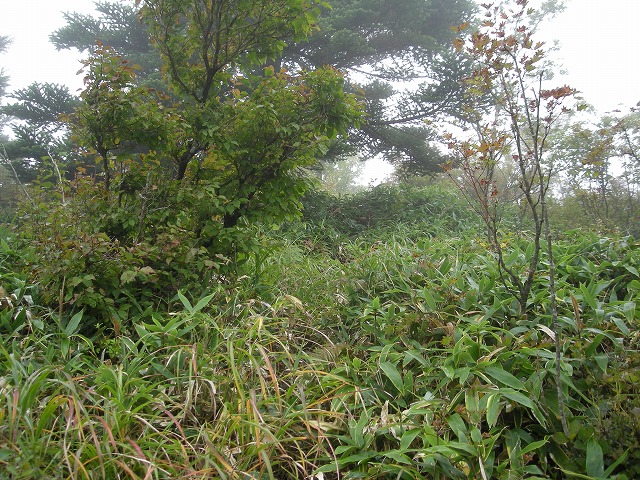 ebosi022.jpg