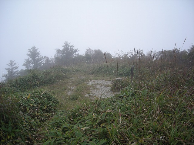 ebosi024.jpg