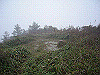 ebosi024_thumb.jpg