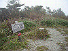 ebosi025_thumb.jpg
