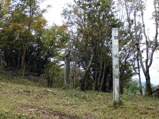 front19.jpg