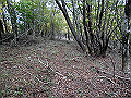 hiuti09_thumb.png