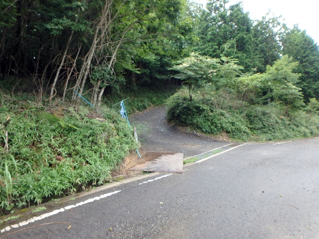 isidou005.jpg