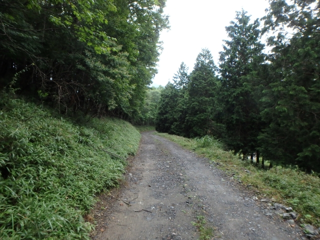 isidou009.jpg