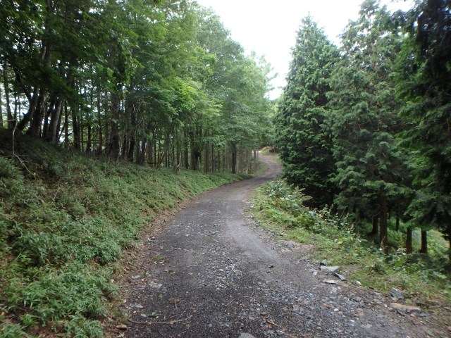 isidou010.jpg