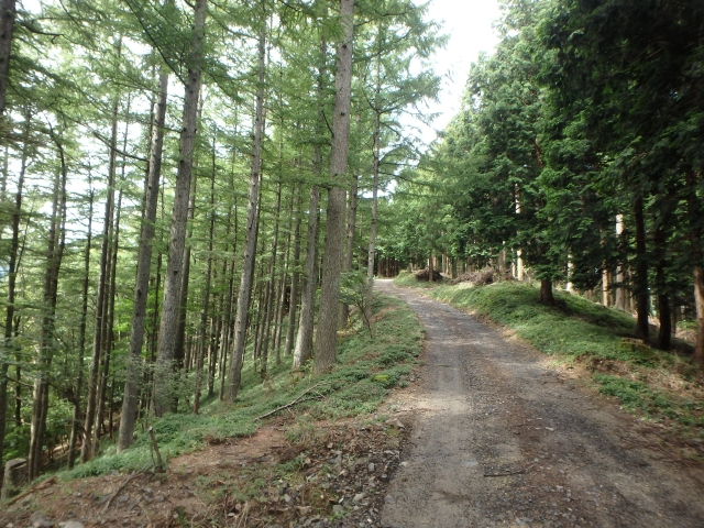isidou011.jpg