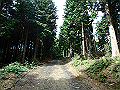 isidou012_thumb.png