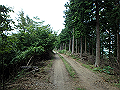 isidou014_thumb.png