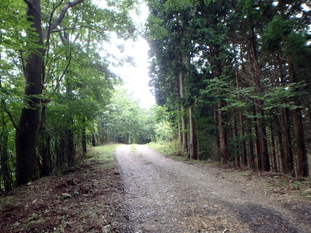 isidou019.jpg