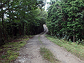 isidou020_thumb.png