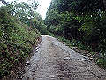 isidou023_thumb.png