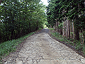 isidou024_thumb.png