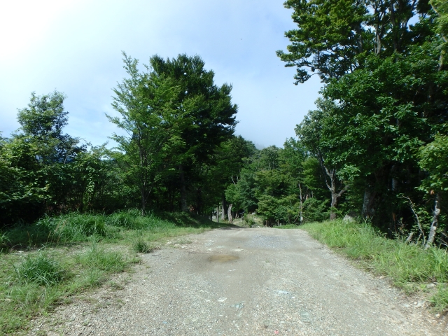 isidou026.jpg
