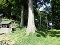 isidou029_thumb.png