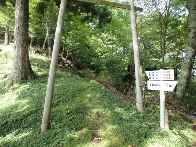 isidou030.jpg