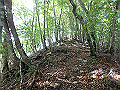 isidou031_thumb.png